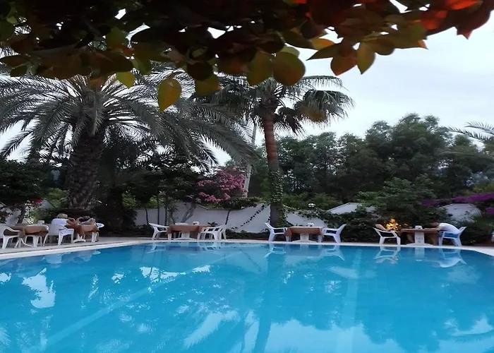 Murat Otel