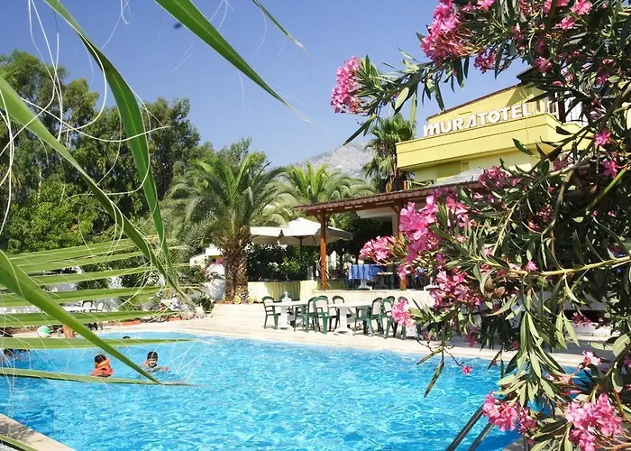 Murat Otel